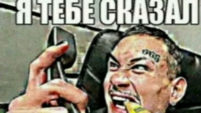 Ankha Dance but Cat Shark смотреть онлайн