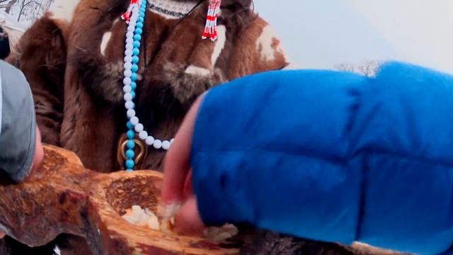 Эко Хаски Парк смотреть онлайн