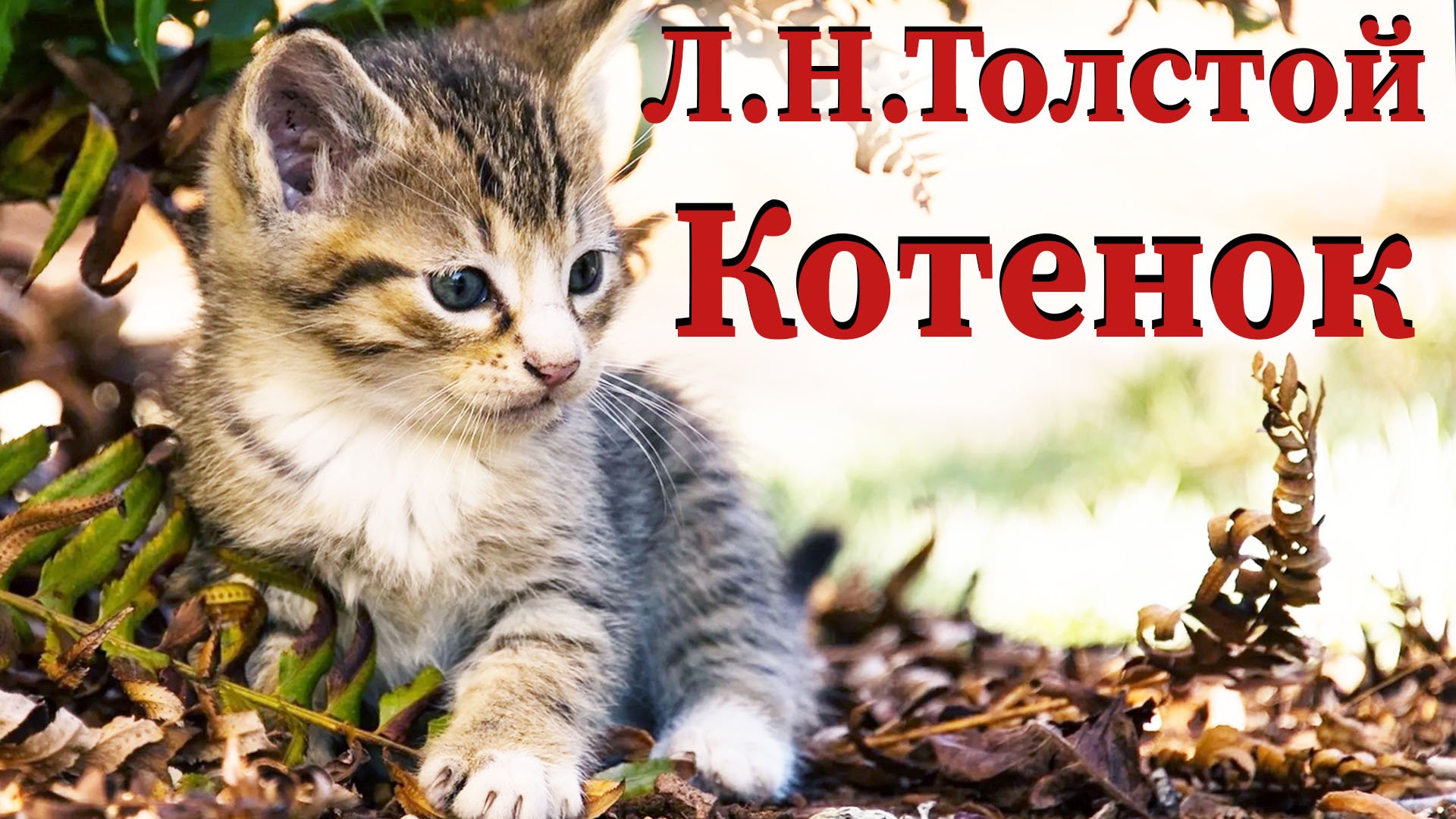 Л.Н. Толстой - Котенок смотреть онлайн