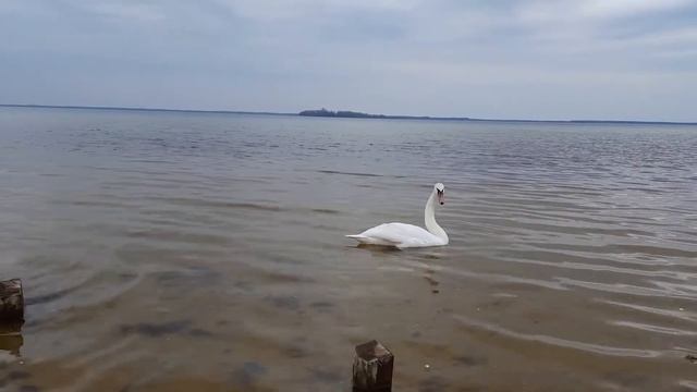 Озеро Світязь 01.05.2021 смотреть онлайн