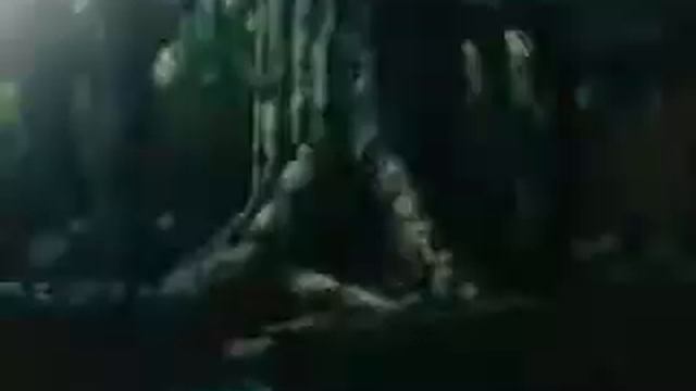 HXH Killua-Gon-Kurapika-Leorio смотреть онлайн