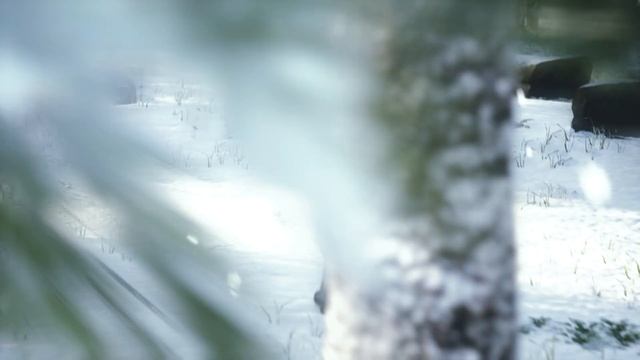 Cinematic Unreal Engine 5 4K смотреть онлайн