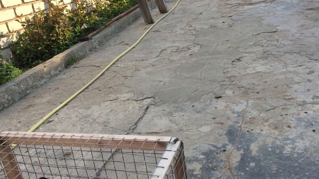 Христос Воскресе! смотреть онлайн