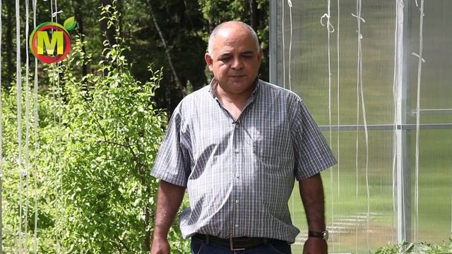 Совместимость культур в теплице. смотреть онлайн