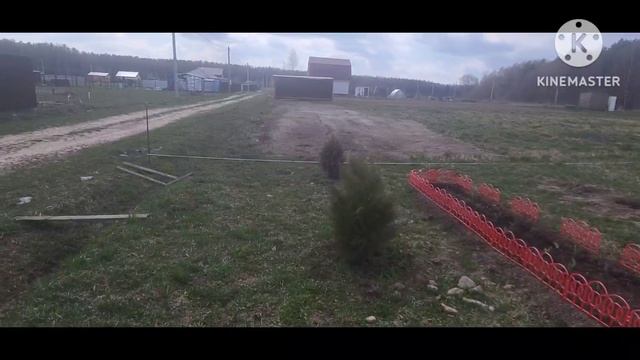 Куры с прическами / Посадили вишню, виноград и малину. смотреть онлайн