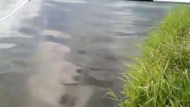 MOV036 смотреть онлайн