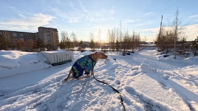 2023-01-29 смотреть онлайн