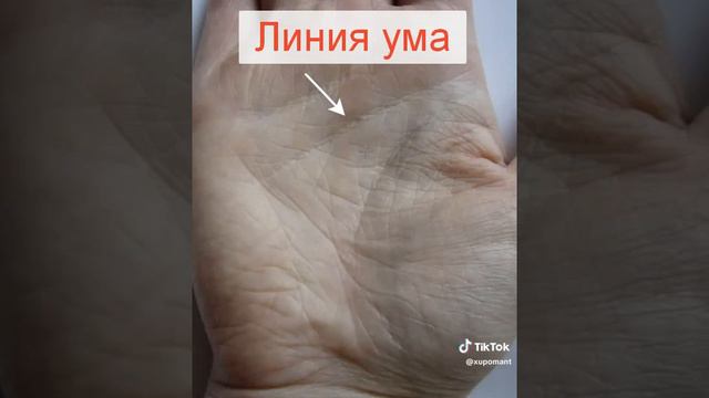 линия ума смотреть онлайн