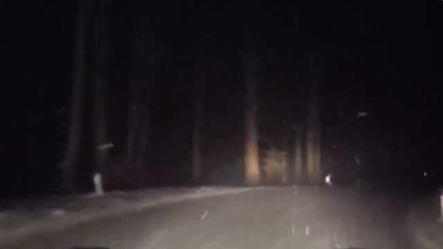 ТОП 10 CARTOON CAT СНЯТЫХ НА КАМЕРУ (МУЛЬТЯШНЫЙ КОТ ТРЕВОРА ХЕНДОРСЕНА) смотреть онлайн