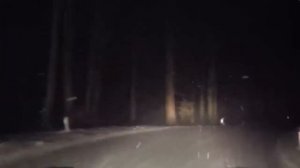 ТОП 10 CARTOON CAT СНЯТЫХ НА КАМЕРУ (МУЛЬТЯШНЫЙ КОТ ТРЕВОРА ХЕНДОРСЕНА)