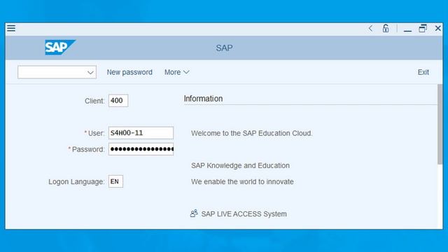 How to Log Into an SAP S/4HANA System смотреть онлайн