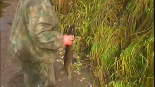 ПРО РЫБАЛКУ.mp4 смотреть онлайн