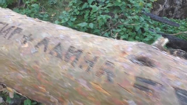 Якушев Василий - Выше земли. Айгир смотреть онлайн