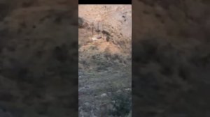 АПС Стечкина стрельба на 326 метров.