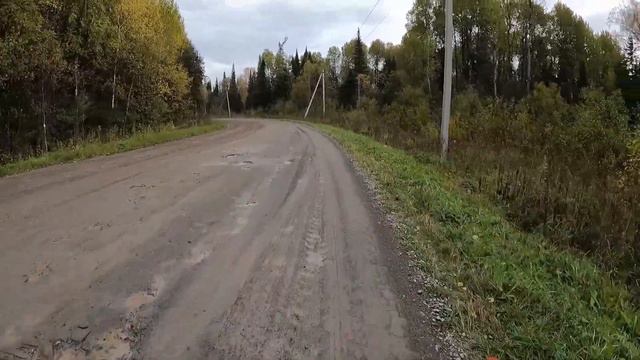 День 244. Вернулся в тайгу. Дистанция 4 километра. смотреть онлайн