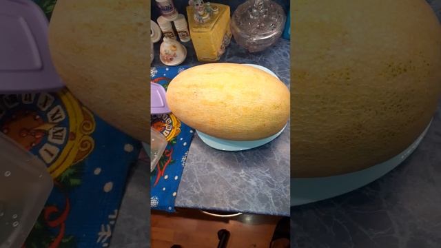 узбекская дыня торпеда сладкая как мед смотреть онлайн