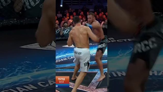 Средний вес - скорость и мощь смотреть онлайн