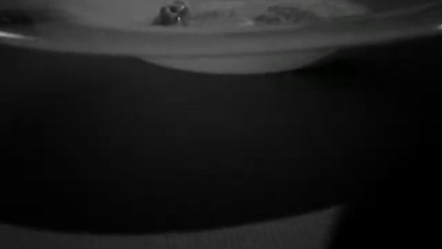 Ем какашки! смотреть онлайн