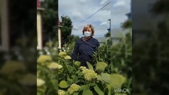 Почему жители Лаишевского района пойдут голосовать за поправки к Конституции смотреть онлайн