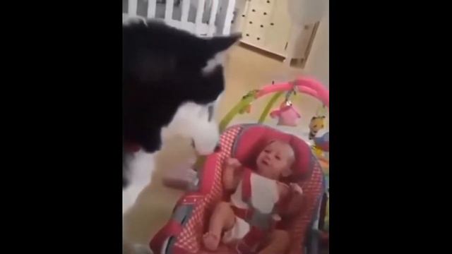 СМЕШНЫЕ ПРИКОЛЫ/ ЛУЧШИЕ КЕК ВИДЕО / 410 СЕКУНД СМЕХА / ЗАРЖАЛ - ПРОИГРАЛ № 22