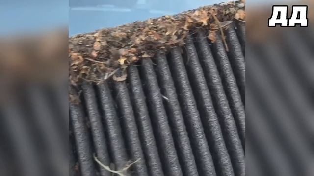 Жесть на сто или будни автосервиса #93 Подборка ЖЕСТЬ пол машины автожесть смотреть онлайн