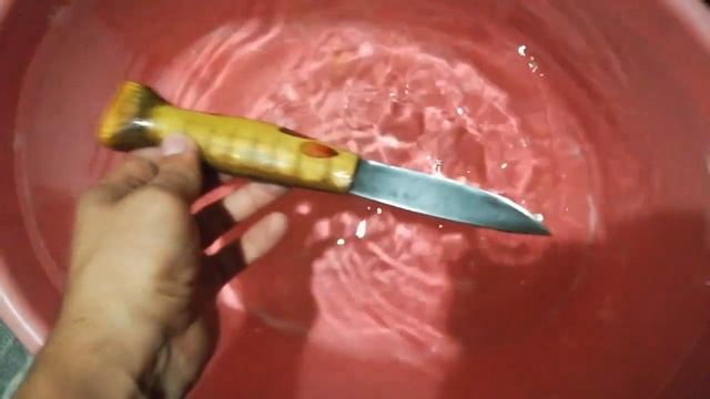 НЕТОНУЩИЙ НОЖ РЫБКА смотреть онлайн