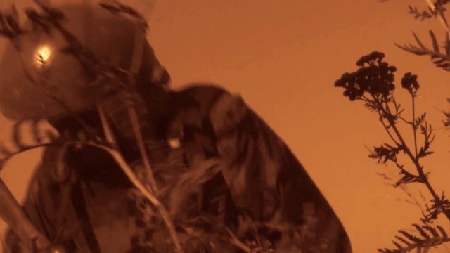 Ветеранская сдача на Краповый Берет 2015 год смотреть онлайн