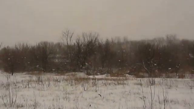 2013 03 11__Бугры__Идет снег__Занна и Джади смотреть онлайн