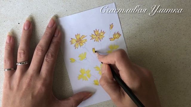 Как нарисовать цветы // Рисунок карандашом для самых маленьких смотреть онлайн
