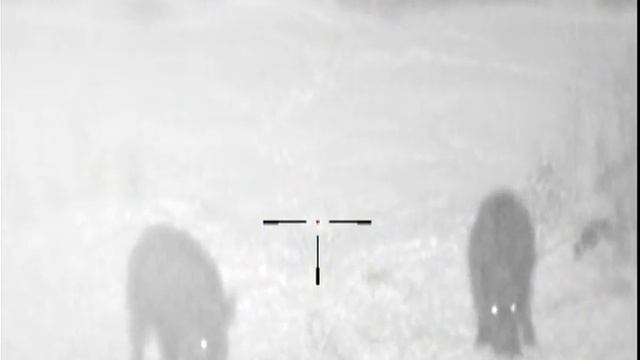 wild boar filmed in snow with Pulsar Digisight 750N and Pulsar IR L915 смотреть онлайн