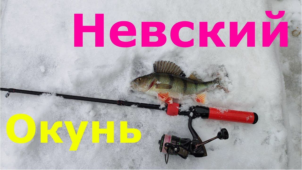 #472 #StreetFishing | Зимний спиннинг | Невский окунь | смотреть онлайн