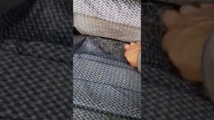 КАК ОДЕТЬ ЧЕХЛЫ НА ЛАНОС ИЛИ СЕНС СНИМАЯ ВСЕ СИДЕНИЯ