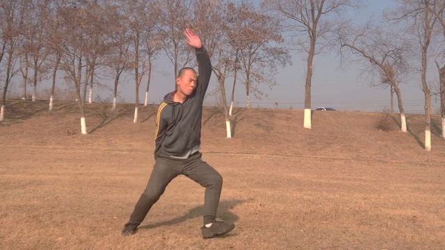 Учебное пособие по Бацзицюань - ушу (урок по краткому введению в Бацзи) смотреть онлайн