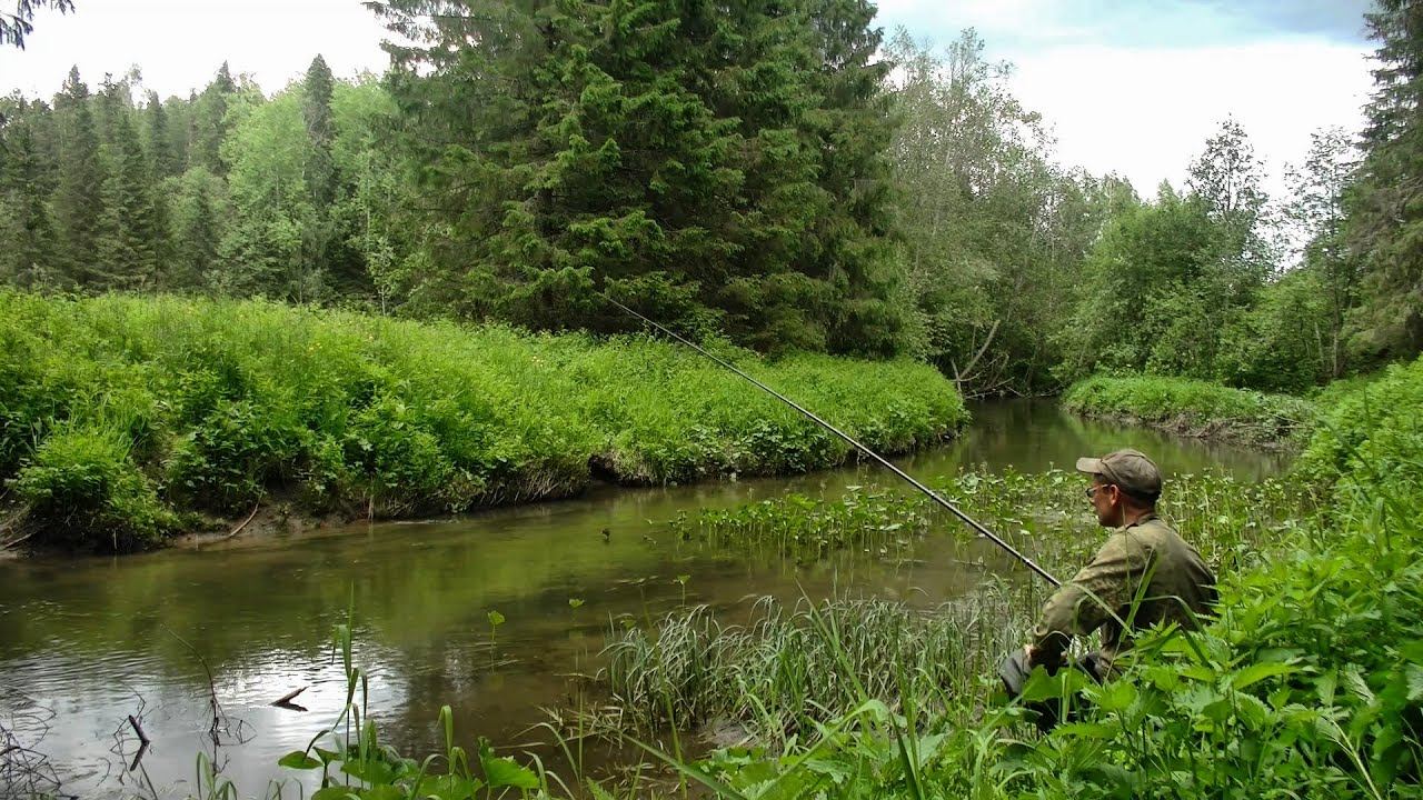 Рыбалка на небольшой таёжной речке #420 смотреть онлайн