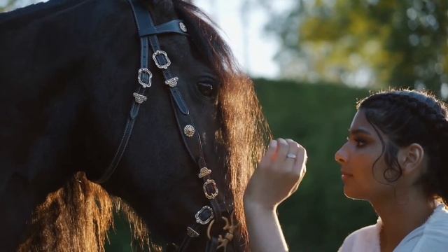 Интересные факты о породах лошадей тяжеловозов в год тигра 2022. Породы лошадей для верховой езды смотреть онлайн