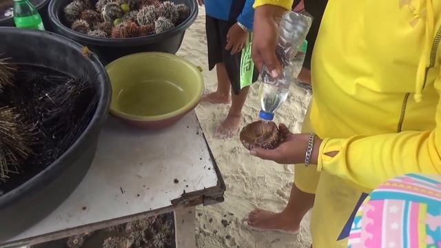 Пробуем морских ежей. Колемся, плачем, но продолжаем дегустировать разные кухни смотреть онлайн