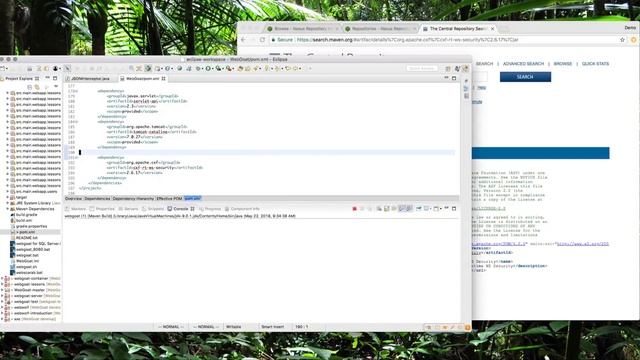 Nexus Firewall Demo with Eclipse смотреть онлайн