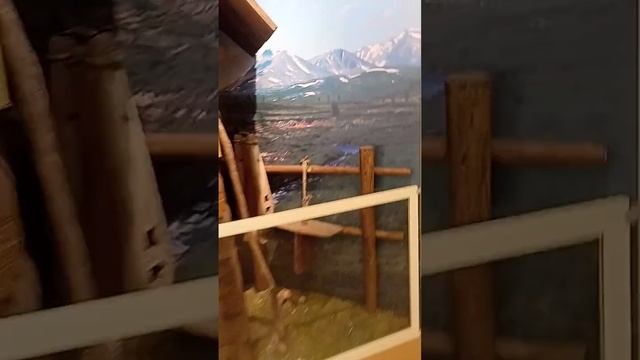 музей Истории Иркутска им. Сибирякова краеведческий Сибирь Иркутская область история Иркутск Байкал смотреть онлайн