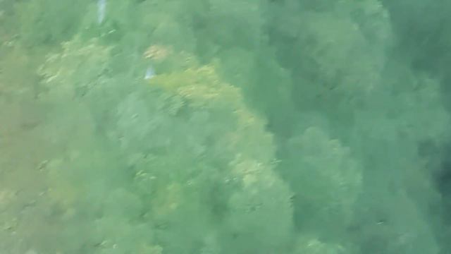 Гонконг поездка к Будде смотреть онлайн