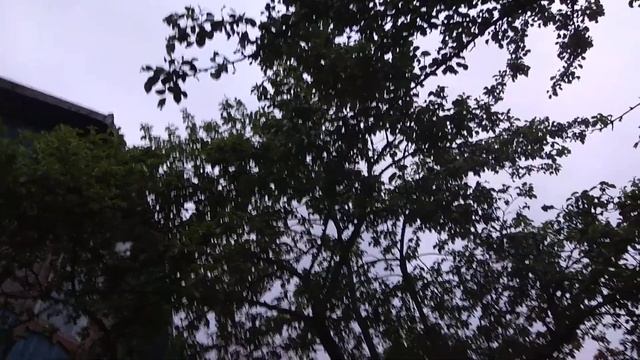 Огонь, Мангал,  Дача (Fire In Barbecue)