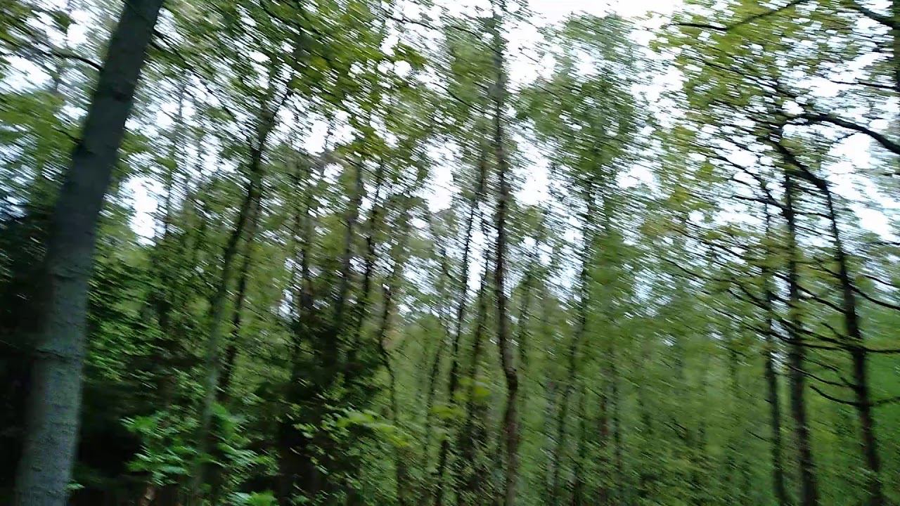 В парках Светлогорска проложили новые велосипедные дорожки смотреть онлайн