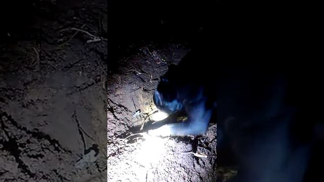 Наш пёс Ганс нашёл ежика смотреть онлайн