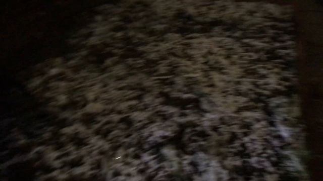 2019 honda accord sport 1.5t 10th gen | the best model made смотреть онлайн