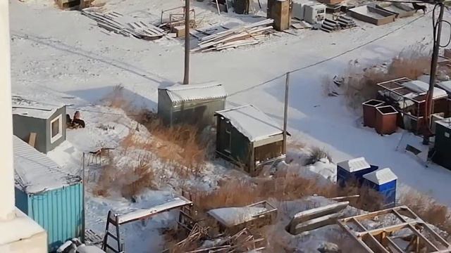 Материал для Роспотребнадзора (СЭС) - свалки-помойки, костры, собаки - 2014-02-04 - 12:00 смотреть онлайн