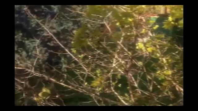 Продается часть дома и земли в Малаховке смотреть онлайн