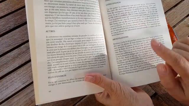 ЧАЙНЫЙ ГРИБ.КРАТКИЙ ОБЗОР УМНОЙ КНИГИ ? КОМБУЧА смотреть онлайн