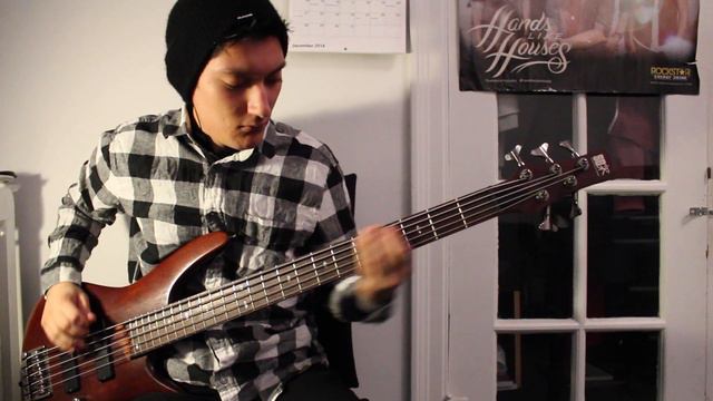 The Color Morale | Damnaged [Bass Cover] смотреть онлайн