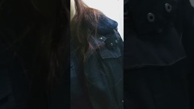 Участковая полиции Дмитриева Алина Игоревна ?считает что права, и обязанности разьяснять не нужно. смотреть онлайн