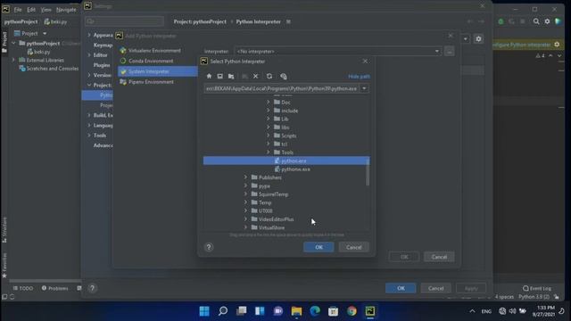 How to Fix invalid Python Interpreter Selected for the project смотреть онлайн
