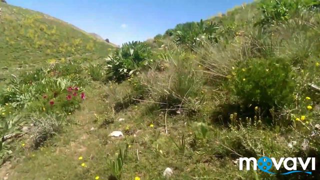 36-я сура Корана Ясин смотреть онлайн